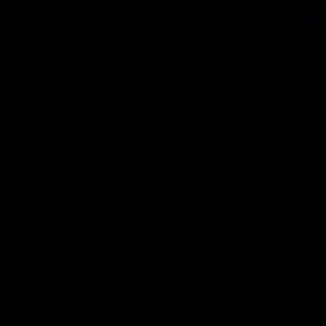 Meet your Posher, Maya